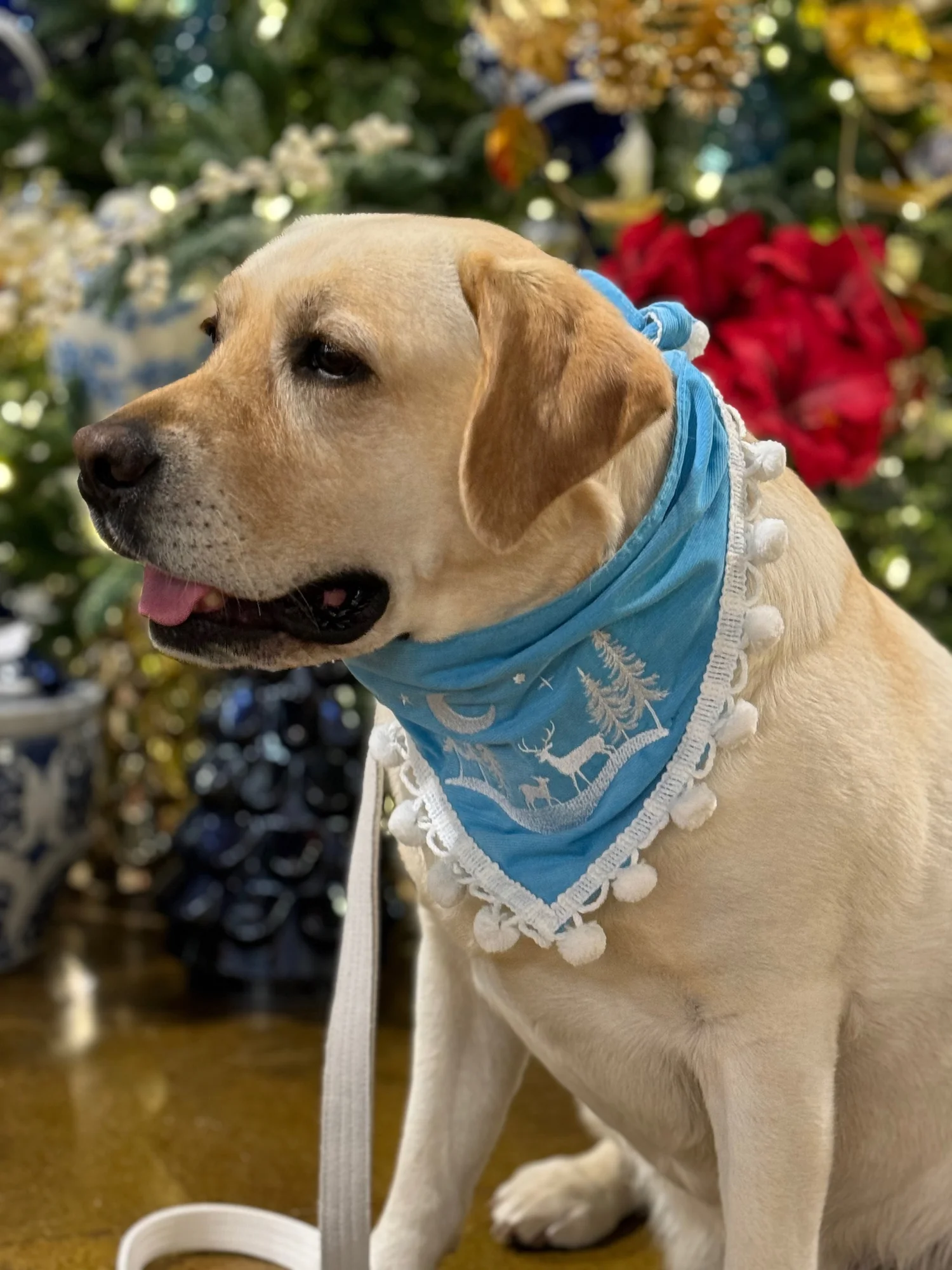 ❤︎クリスマスバンダナ❤︎ Winter Wonderland Blue Bandana — Collar